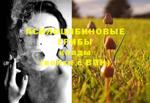 ECSTASY Абинск