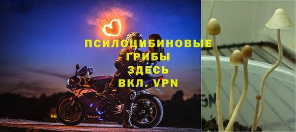 MDMA Premium VHQ Абаза