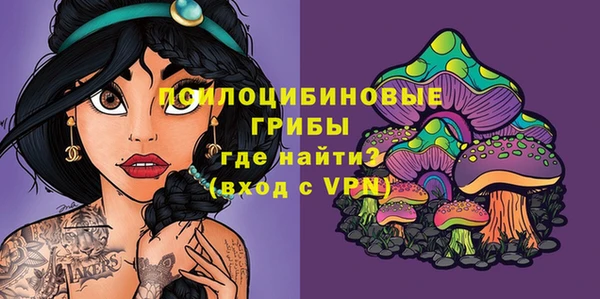 ECSTASY Абинск