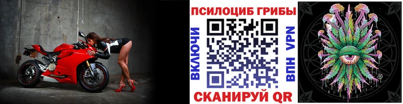 купить наркотики сайты  Сычёвка  Галлюциногенные грибы MAGIC MUSHROOMS 